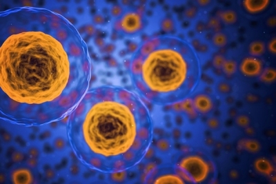 水膠化樹突細胞技術增強癌症免疫細胞療法