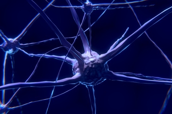 新神經元不斷生成 或能解老年痴呆