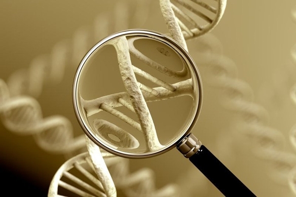 研究發現CRISPR/Cas9可能潛在致癌性的風險