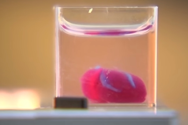 以色列開發出世界上第一個帶有人體組織的3D列印心臟