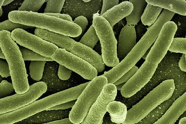 非法施打幹細胞爆發細菌感染 美國FDA發出警告