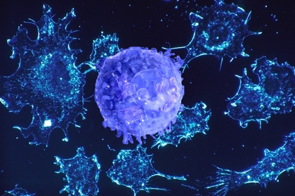 跟癌細胞說再見！ 超分子能滅癌症