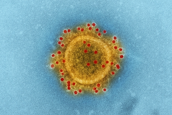 國衛院針對新型冠狀病毒加速進行疫苗的研發