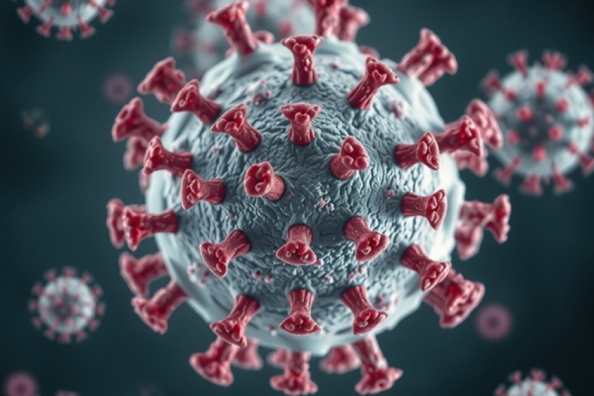 確保細胞製程安全：動物性來源材料的病毒滅活驗證與國際監管趨勢