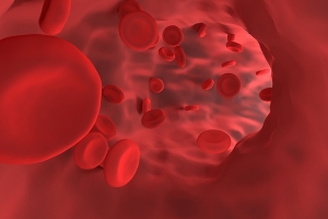 血管重建新利器-人類無細胞血管