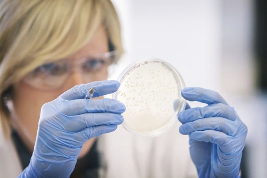 黴漿菌檢測最新國際法規解析：PCR 與 NAT 方法在細胞治療的應用